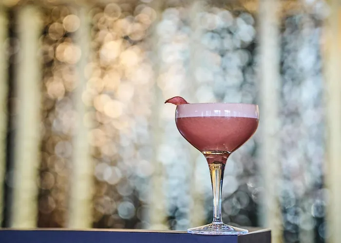 Hotel TRIBE Lyon Croix Rousse